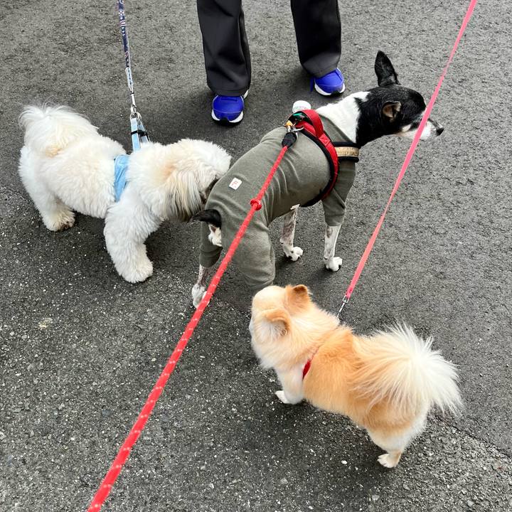 Ac83b445 c4d6 4894 a273 15af98e8bf84 1650924657735