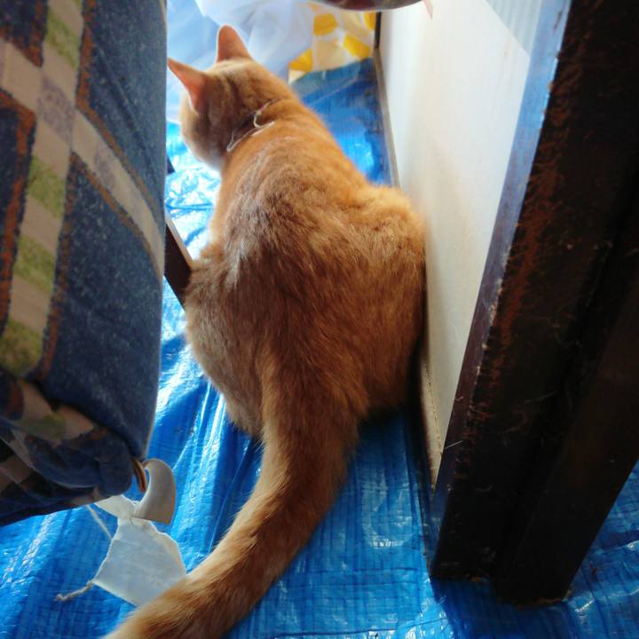 Ac841c04 d176 4c7d 983b 2af3918dd17d 1567822081688