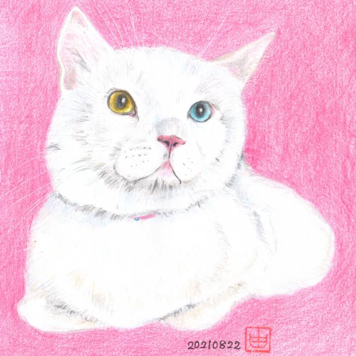 Ac847184 9fcf 4551 b07d 6e11ee0a8dc7 1629584917944