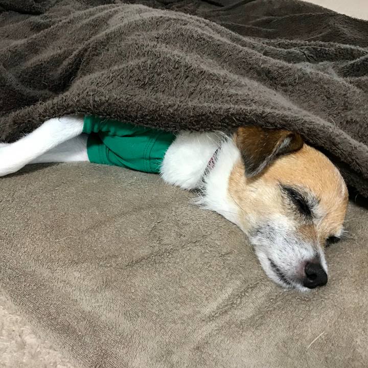 Ac84a29c 35f8 4b30 87ac e8681fbb5d67 1563842415169