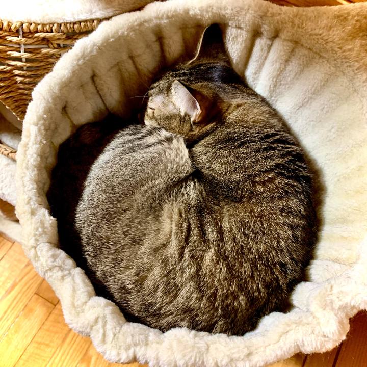 Ac84daf6 fa64 4169 a6f7 789e2926620c 1604305921334