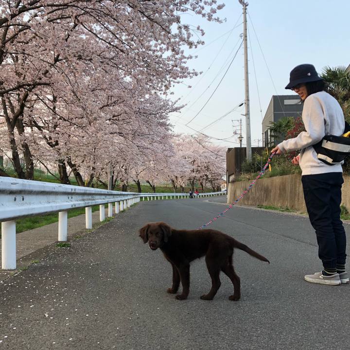 Ac8551c1 574a 433b bf3d b233c13d812e 1554627649335