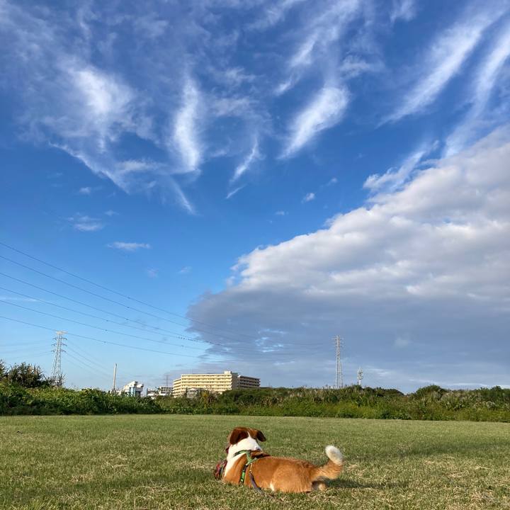 Ac855f8c 2e44 42f1 81cc ad017b0620f7 1729990446544