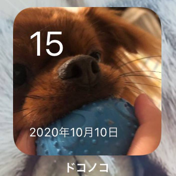 Ac85612d 85da 4a63 a4b8 584bc1ac54b8 1634289612013
