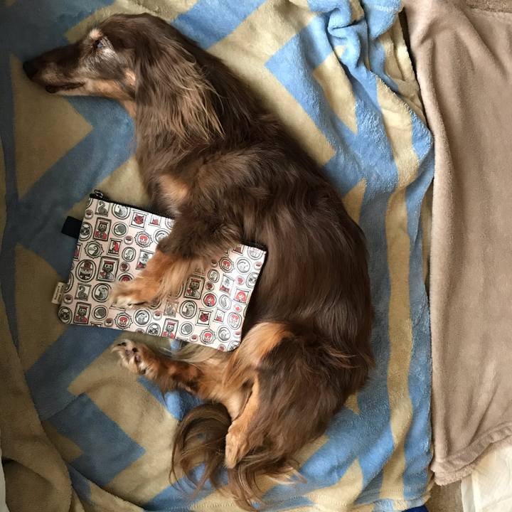 Ac8581b3 851b 47a4 b68e b1aad3fe86ee 1602818785144