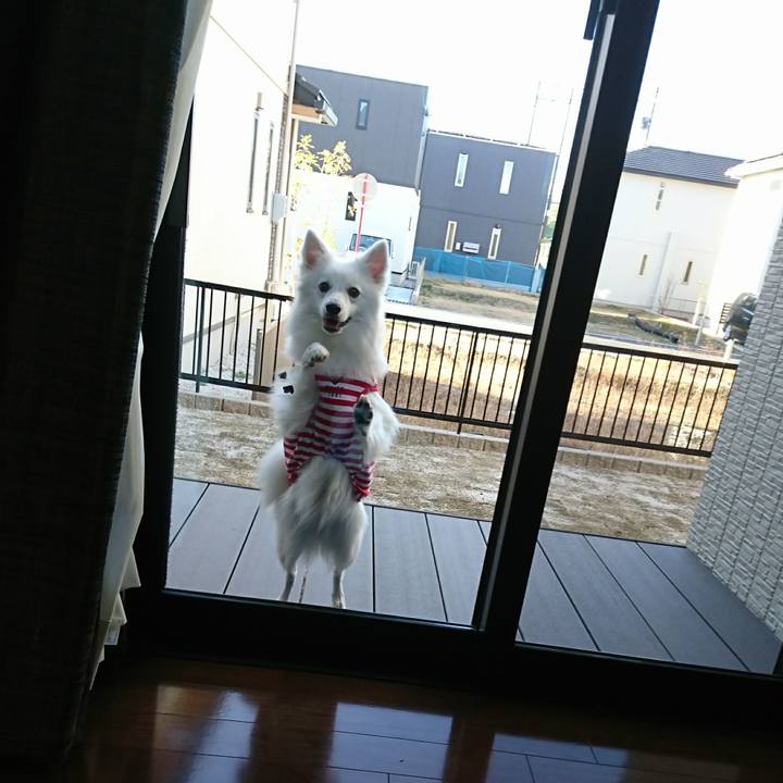 Ac859c88 0810 42d9 b2da 83fcddb3a79c 1520639945841