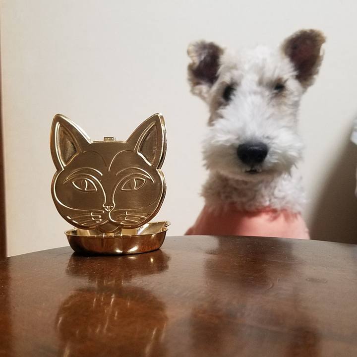 Ac85e9e6 d6cb 47ff 9b01 c4c84d6561eb 1574425120666