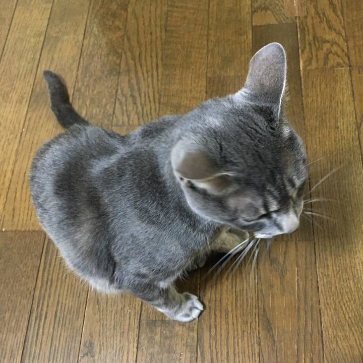 Ac8603df 1420 4ad7 9ff8 4003cfd5a9ae 1592563741734