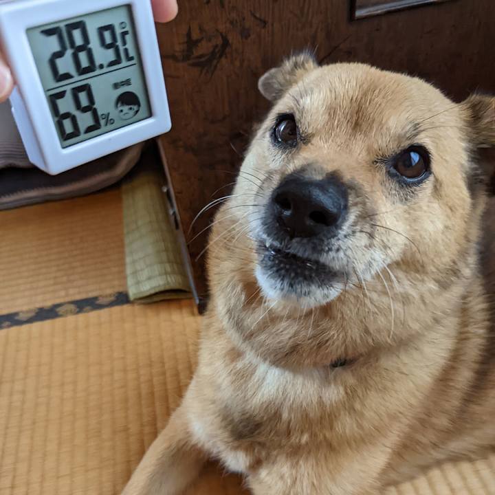 Ac8617f3 19c6 4d67 ae67 eaf0b59e11fe 1661079393663