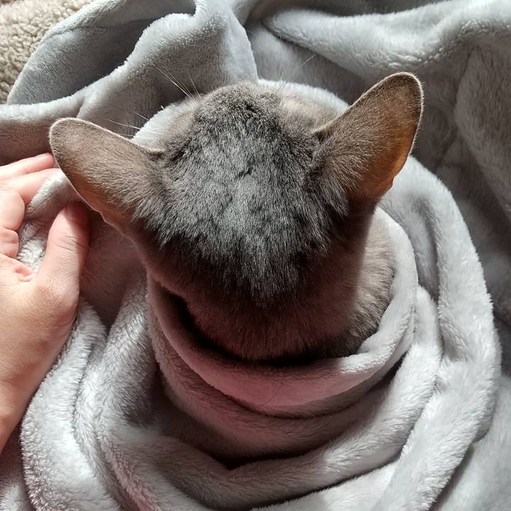 Ac864724 c6d1 4230 b86b 5622a6ca8d47 1699839645308