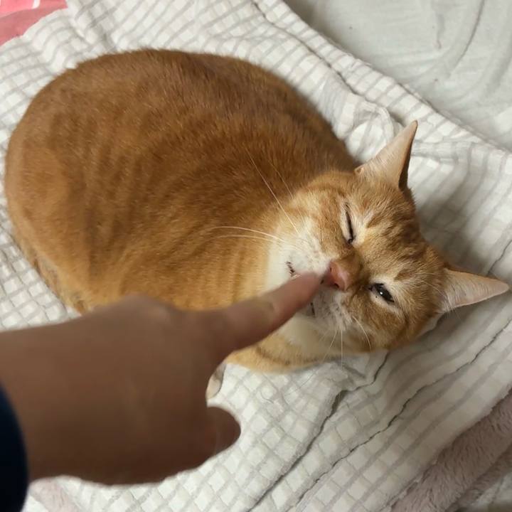 Ac864b87 a13b 4761 b930 caf55639e684 1773318583069