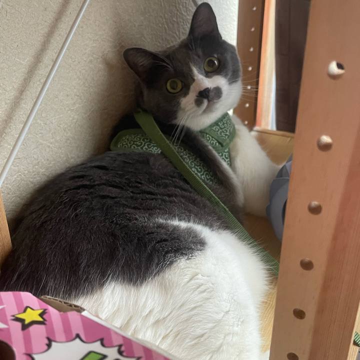 Ac8661aa c90d 4984 afc7 663779b5dbf5 1751620146877