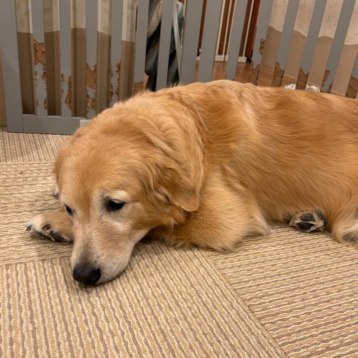 Ac869331 0833 4f36 a813 880ed5f6d199 1761859937933