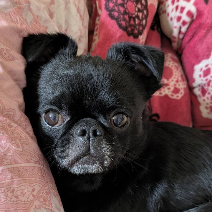 Ac86f89e f2f1 4701 9249 7656568f3cae 1773839043102