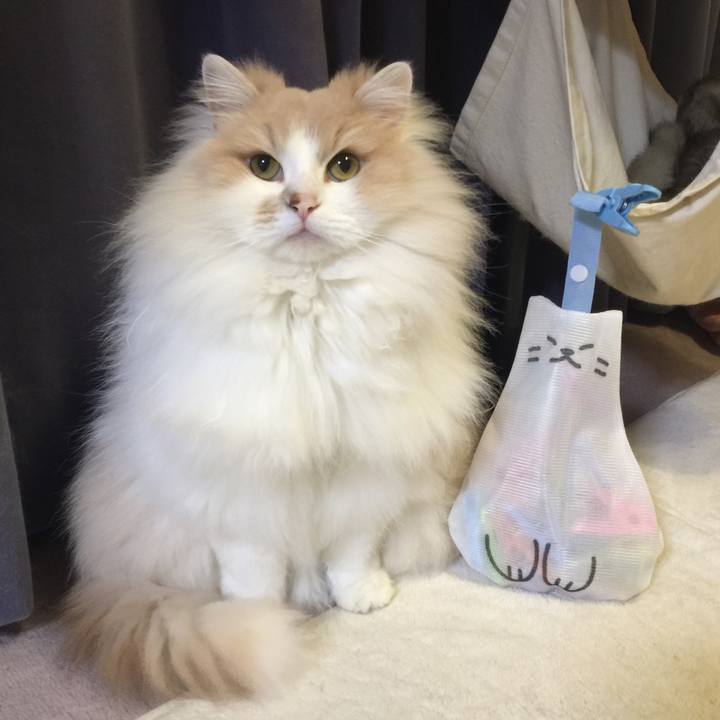 Ac87584a a5a0 4b66 ad3a 2004c503fd95 1523280389484