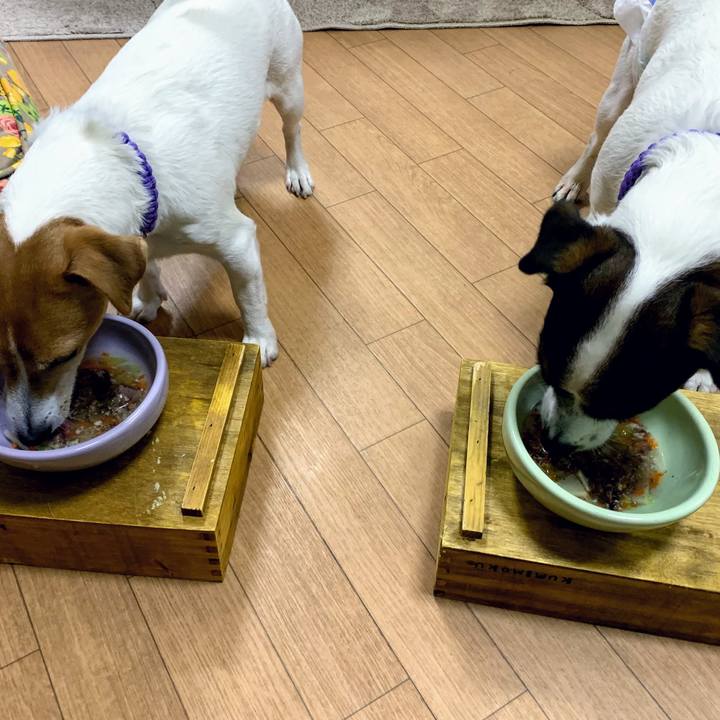 Ac877c1c cbbd 4652 b928 a723149715bc 1575540316564