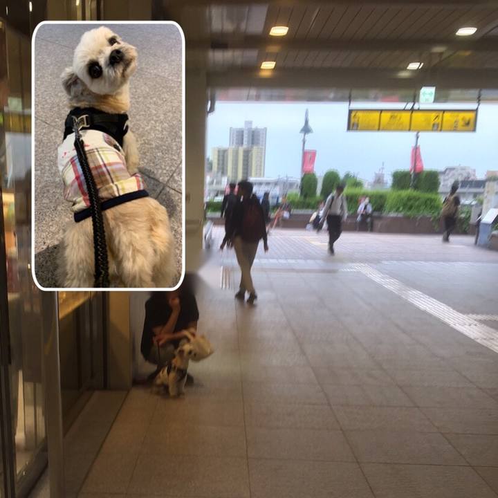 Ac87a8f5 16eb 408c bdc4 478fe8aefbf6 1560334721801