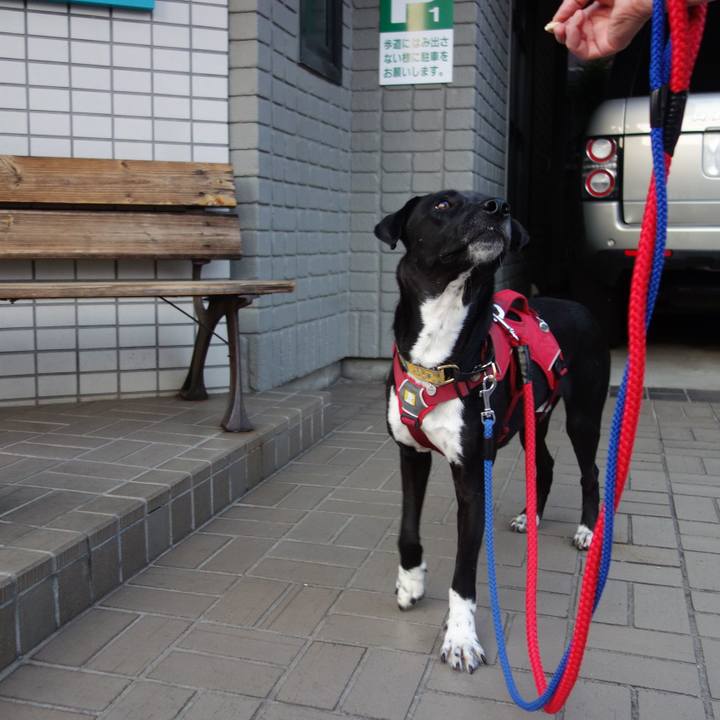 Ac886eb7 e77d 4a36 a394 a7a2b5b30c4d 1588423924319