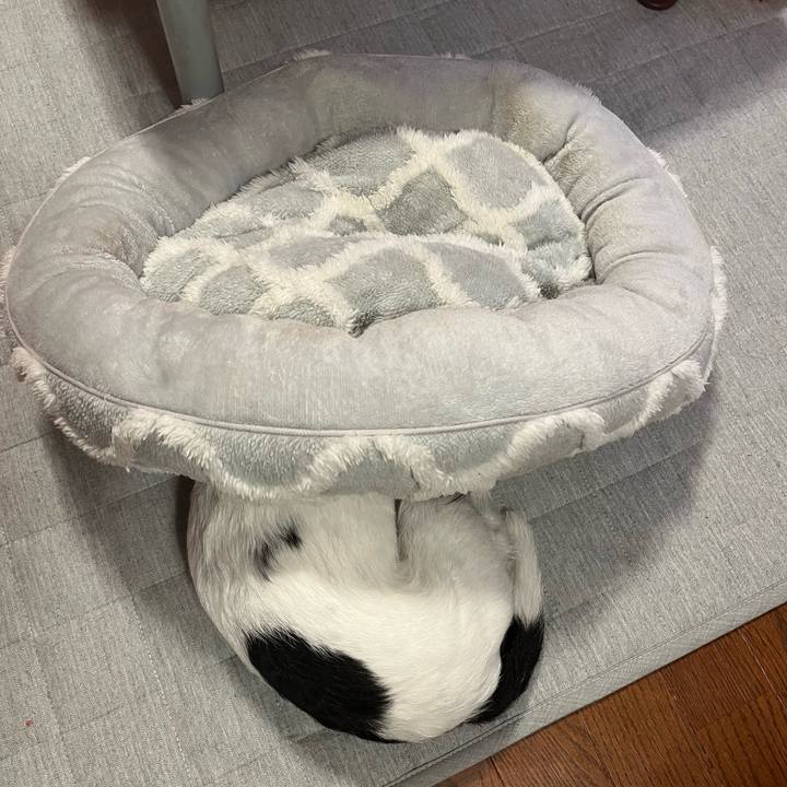 Ac887e30 e7ad 4f44 b4a6 0aae4ea0c6b3 1733835361336