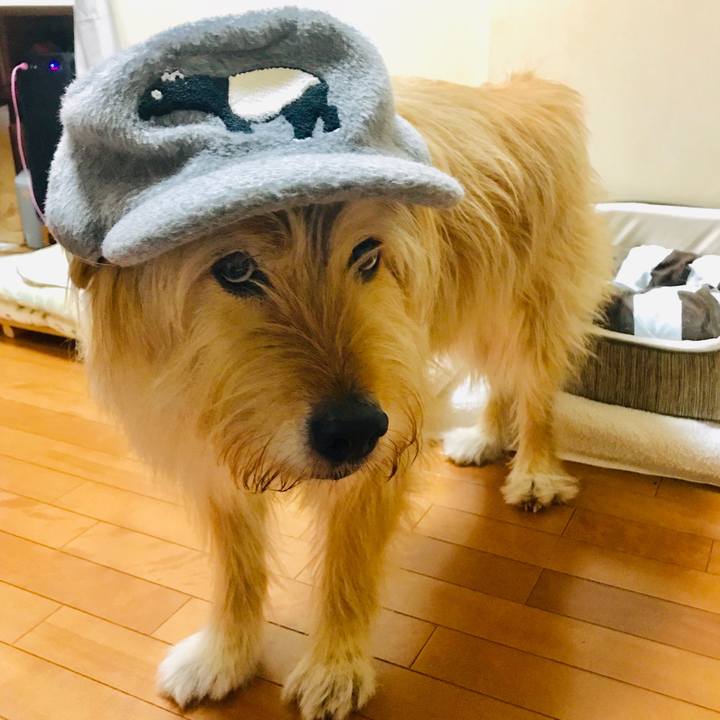 Ac88dfe5 54aa 4d3f b096 67c21286441e 1583900021067