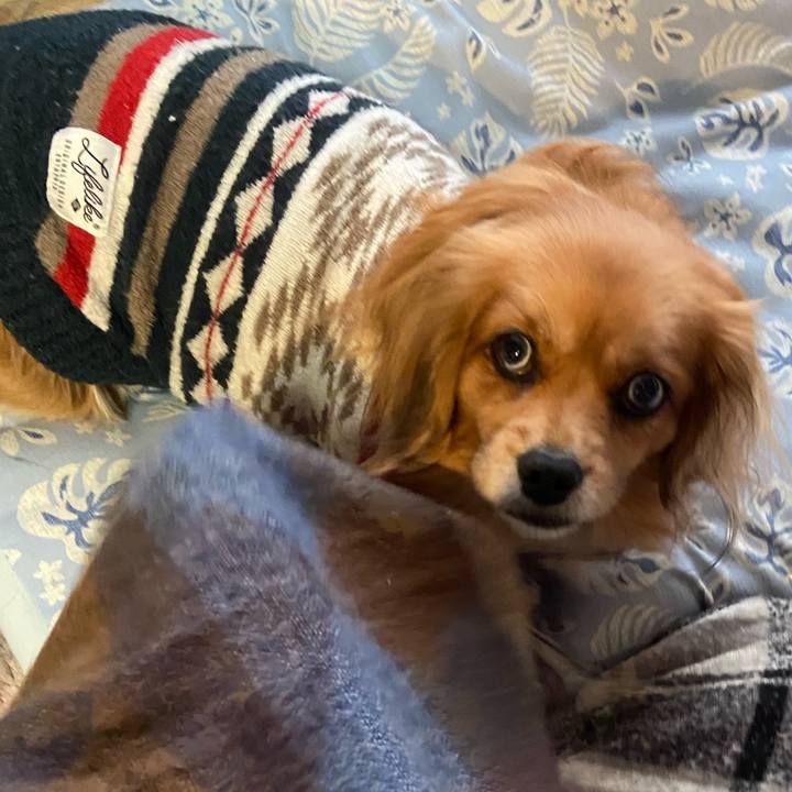 Ac88ec8f dbff 4319 b7e9 bbce67faefc2 1608594345631