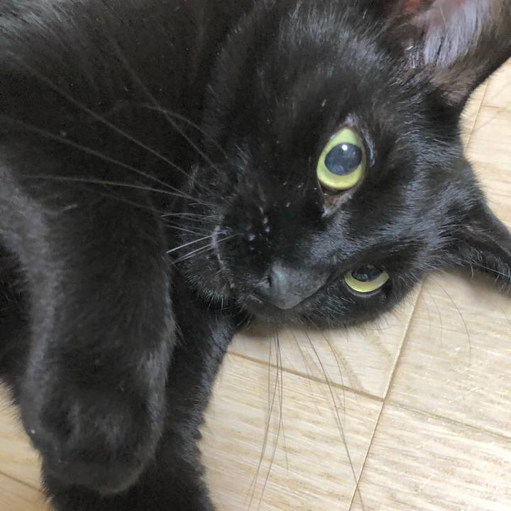 Ac88ed9a fc04 4f19 a40d 180896b0a487 1608992826418