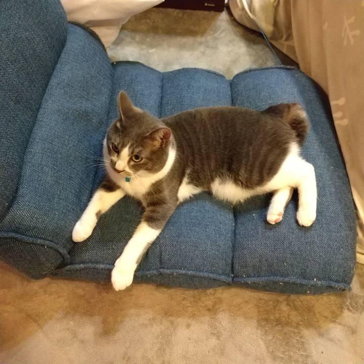 Ac895c70 b436 4eab 9d6c 308defec9cd0 1649626690450