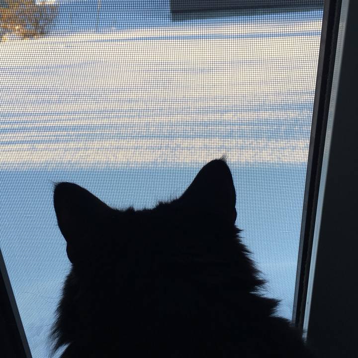 Ac896586 9dea 4f70 8617 79682083f813 1517276608142