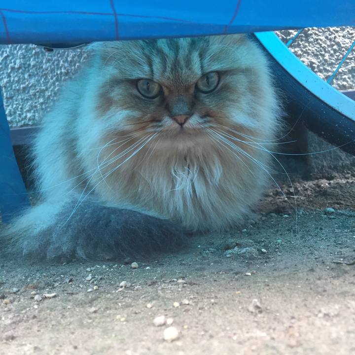 Ac896b5d ea5d 483b 916c aa51c9fcdd08 1568420152390