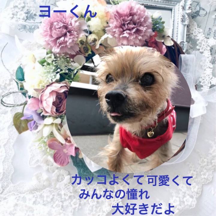 Ac897428 9491 4c06 b5fb a8ef7d28e33c 1637361236383