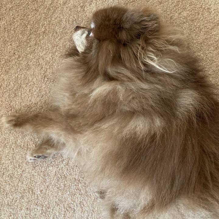 Ac89b114 6905 4f60 b0d5 9db78e01e322 1688280886032