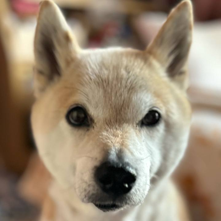 Ac89bea1 b324 4cd9 ada9 474361247611 1747096629817