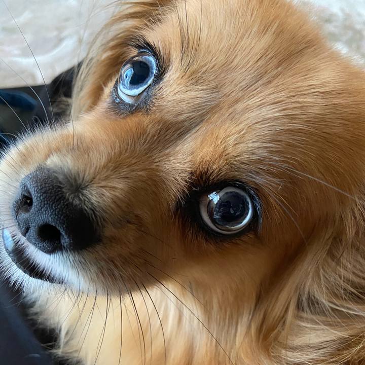 Ac89cdf4 6097 4352 ab75 37f28fd63859 1596232038718