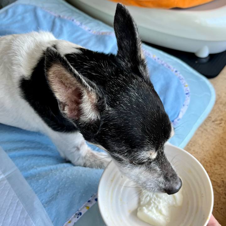 Ac89d4bf 887c 47f5 adf2 aecb7d0b30a5 1659229161299