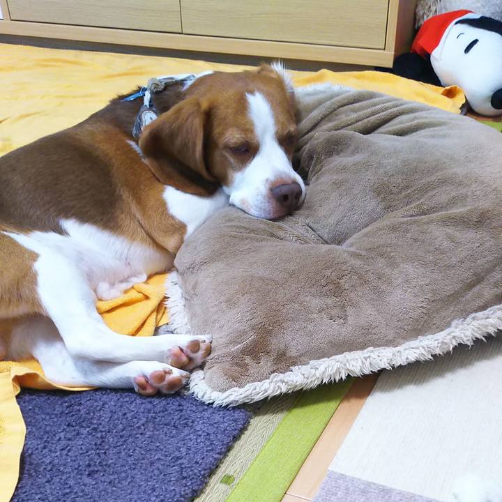 Ac8a1a2d ba51 49bd ad72 0d926e2fa445 1593923083294