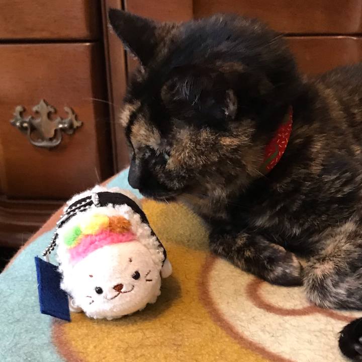 Ac8a1df9 f88e 47d8 86ff 00a82b4d6a70 1553912808352