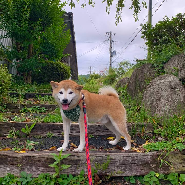 Ac8a411d 33c6 4186 9883 e2a21f5be085 1694510812930