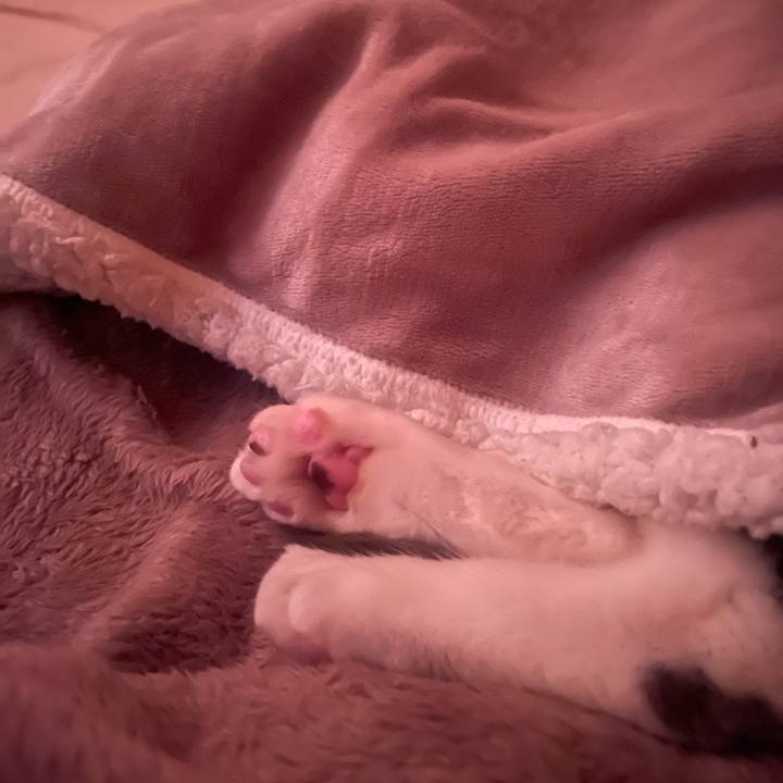 Ac8a5764 80da 4f04 8e2f 9605eca51b53 1737412670117