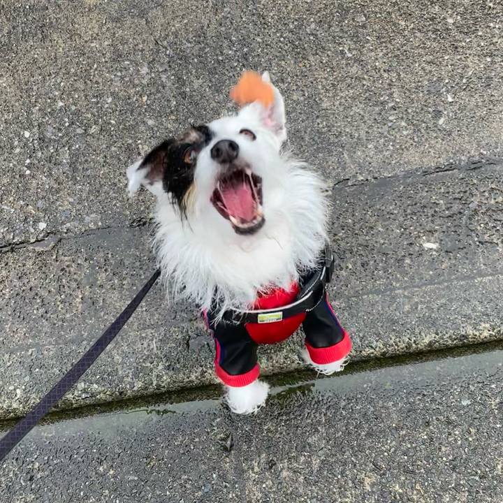 Ac8ac784 5ca2 4ea6 a31a 1d0065fd3e72 1683507583312