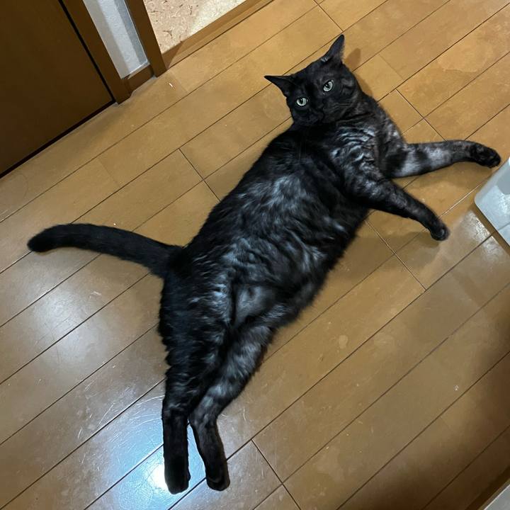 Ac8aec58 6db8 48b9 bc96 227ec3712db3 1724434828076