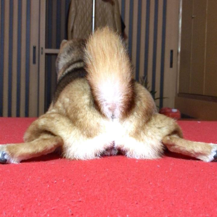 Ac8b068c fe32 4ba4 8c90 3ec6310142d1 1579090067442