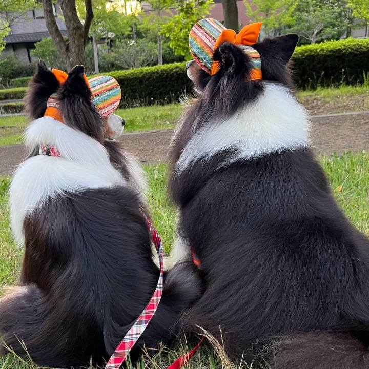 Ac8b1002 e334 4bff a1ff a874901addf2 1656526630998