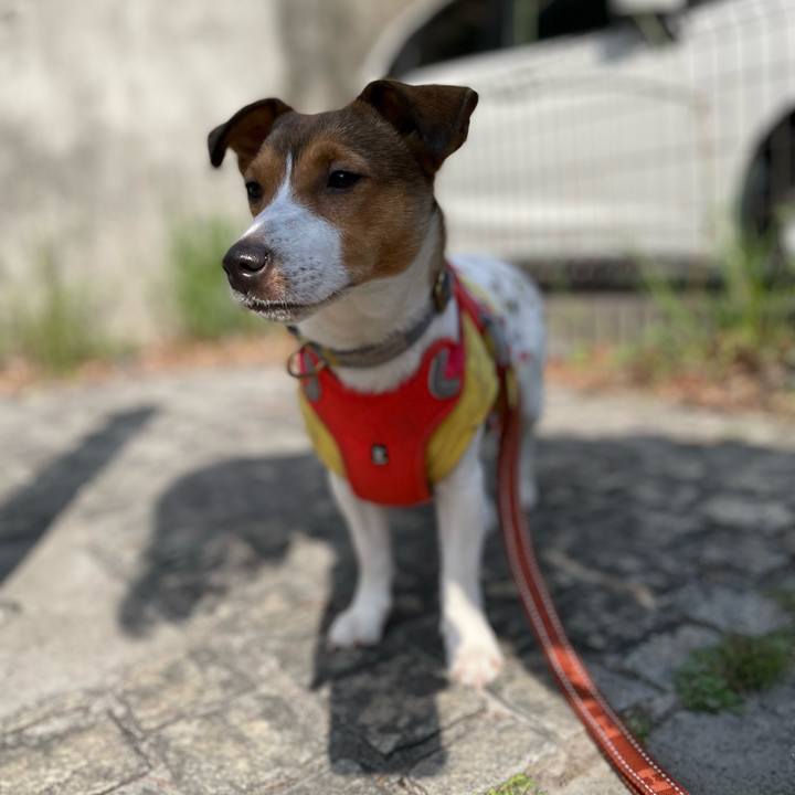 Ac8b3af8 4190 44aa 9f88 918260ee1e97 1682083000416