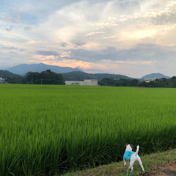 Ac8b3c4d 7f47 4824 9d64 250990b50de8 1565270498602