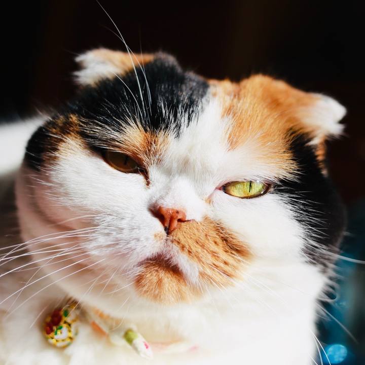 Ac8b4a58 4202 4977 816c f361c50d4a1d 1571733024324