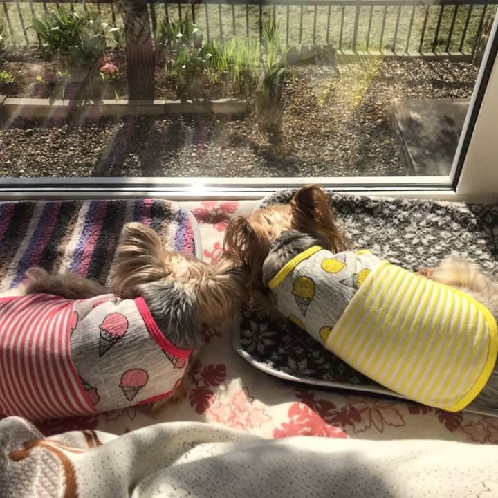 Ac8b7c62 98a0 49c0 9acd d682fe30f28d 1589972604664