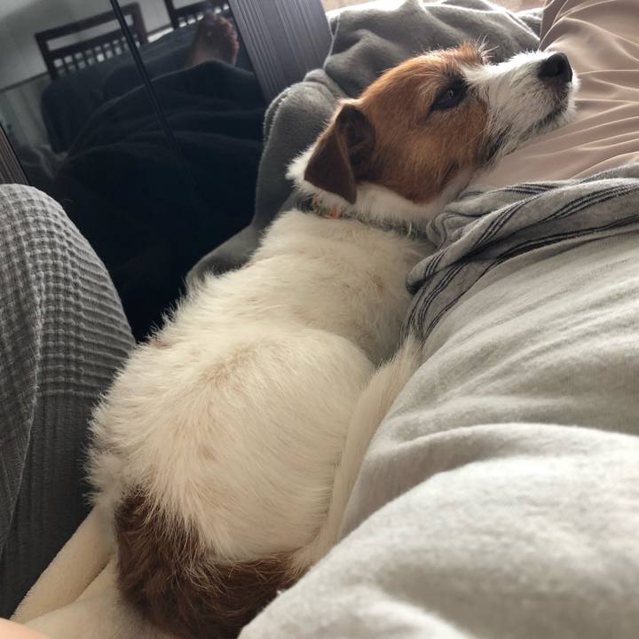 Ac8b97b1 1bbb 466c 9aef ffddef01c741 1593268270750