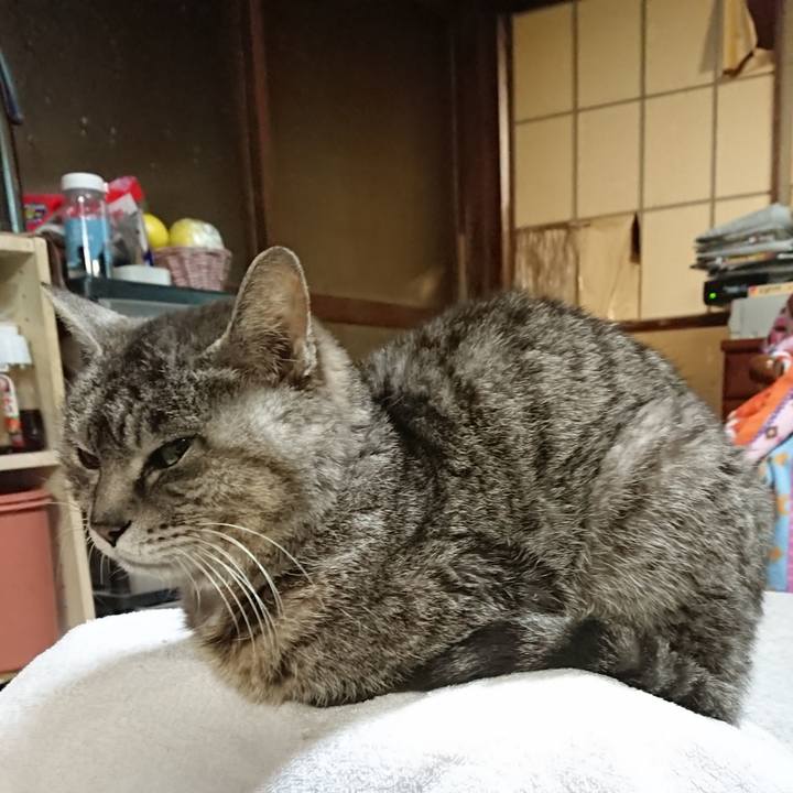 Ac8bd148 e906 437c 9382 b1e5f481ff0d 1585301167585