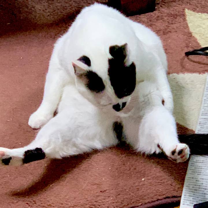 Ac8becf4 8dfc 40a0 b5f2 c4a362ef8151 1588888896004