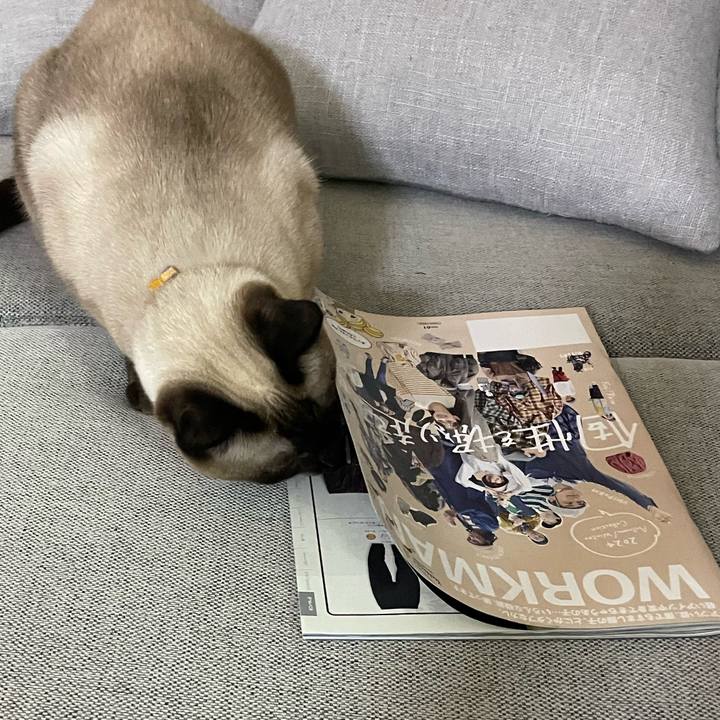 Ac8bf4f7 a8d7 4537 818c f1ccc467c28c 1726950055325